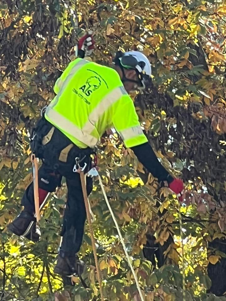 a man in a yellow shirt is climbing a tree