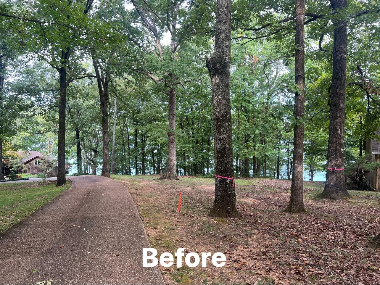 a dirt road going through a forest with trees and a lake in the background