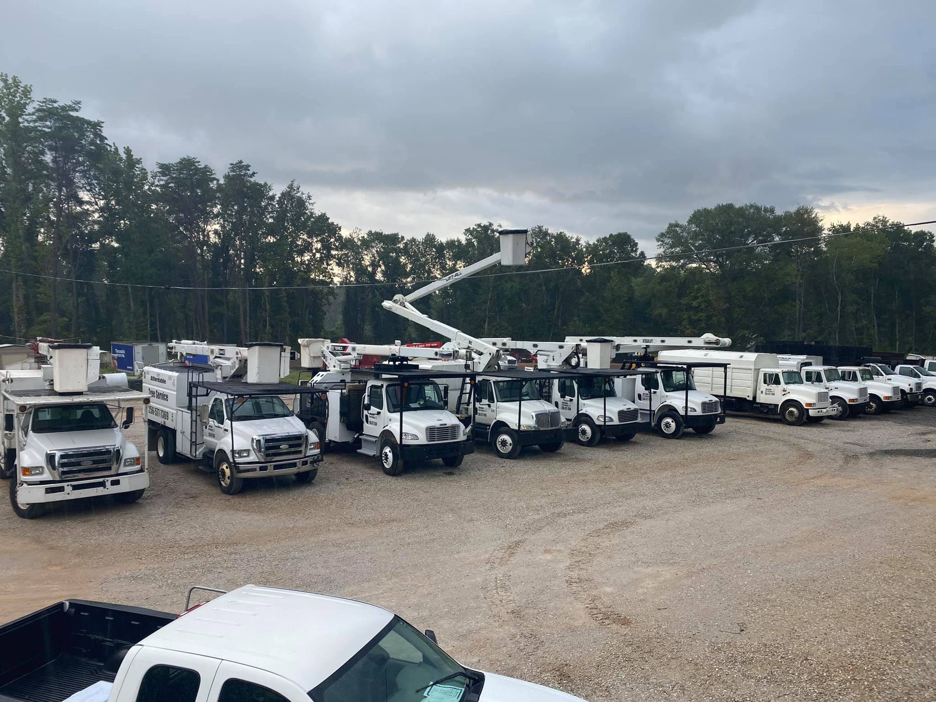 a row of white trucks are parked in a gravel lot