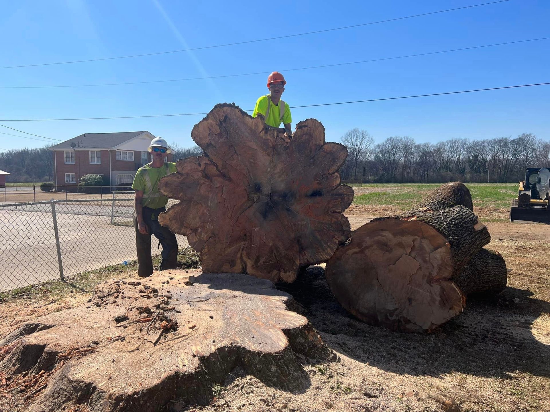 two men are standing next to a large tree stump