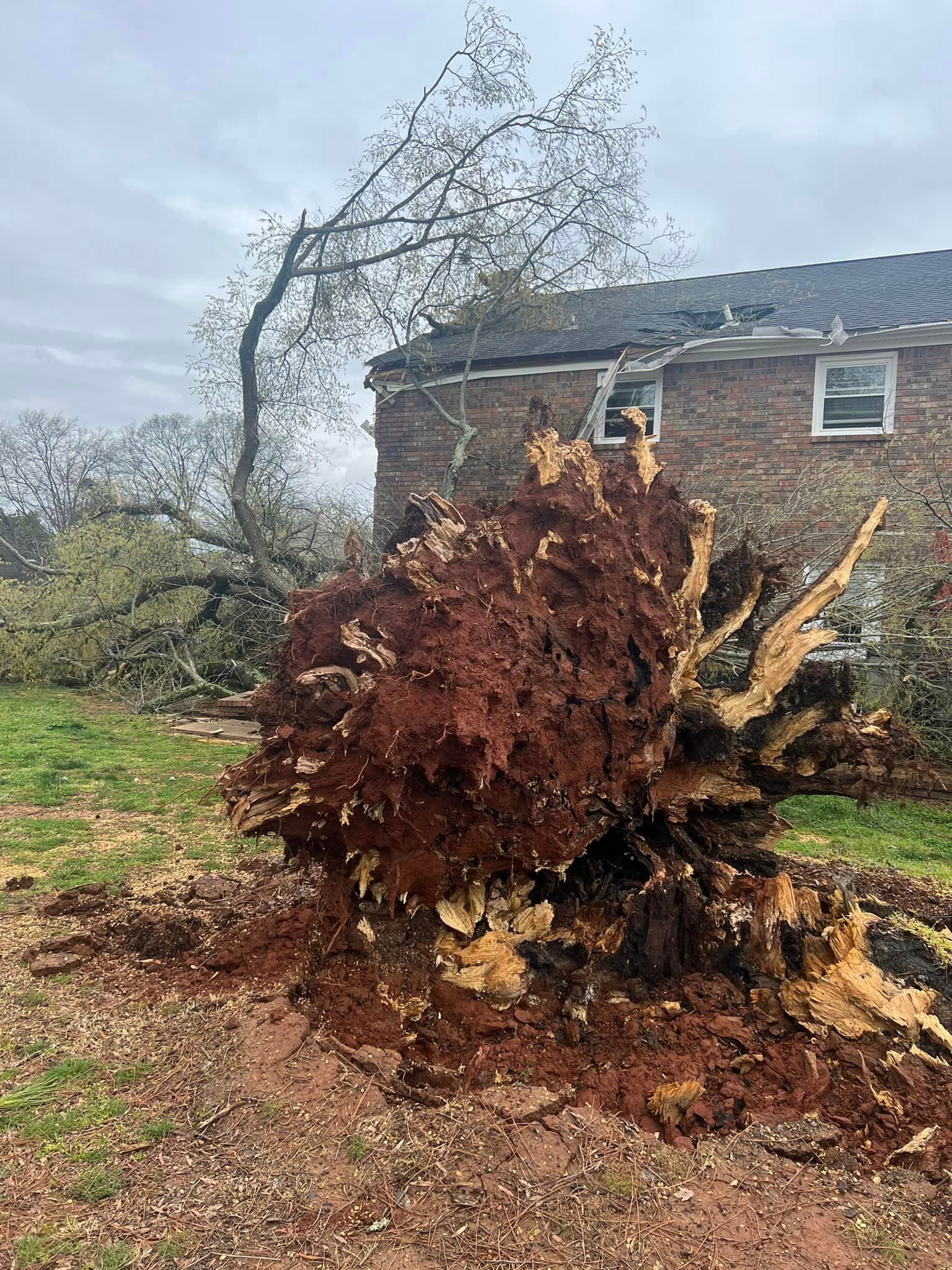 a large tree stump in front of a brick house