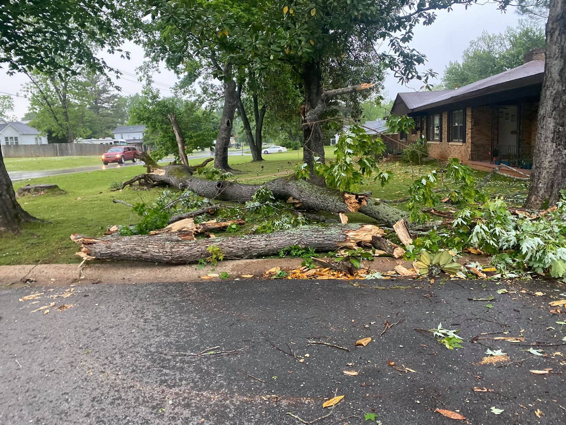 a tree has fallen on the side of the road in front of a house