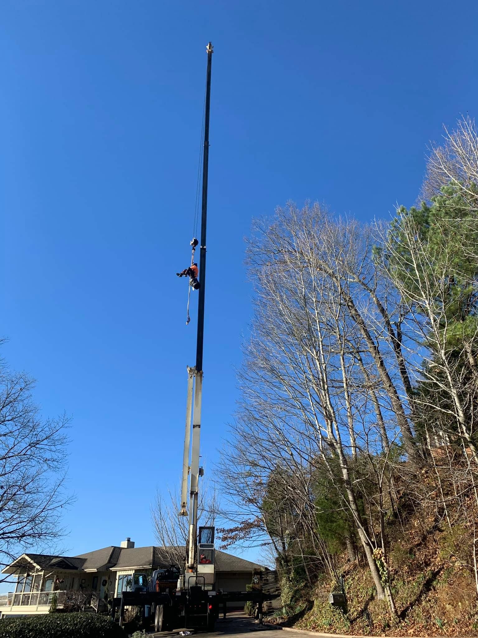 a large crane is being used to remove a tree
