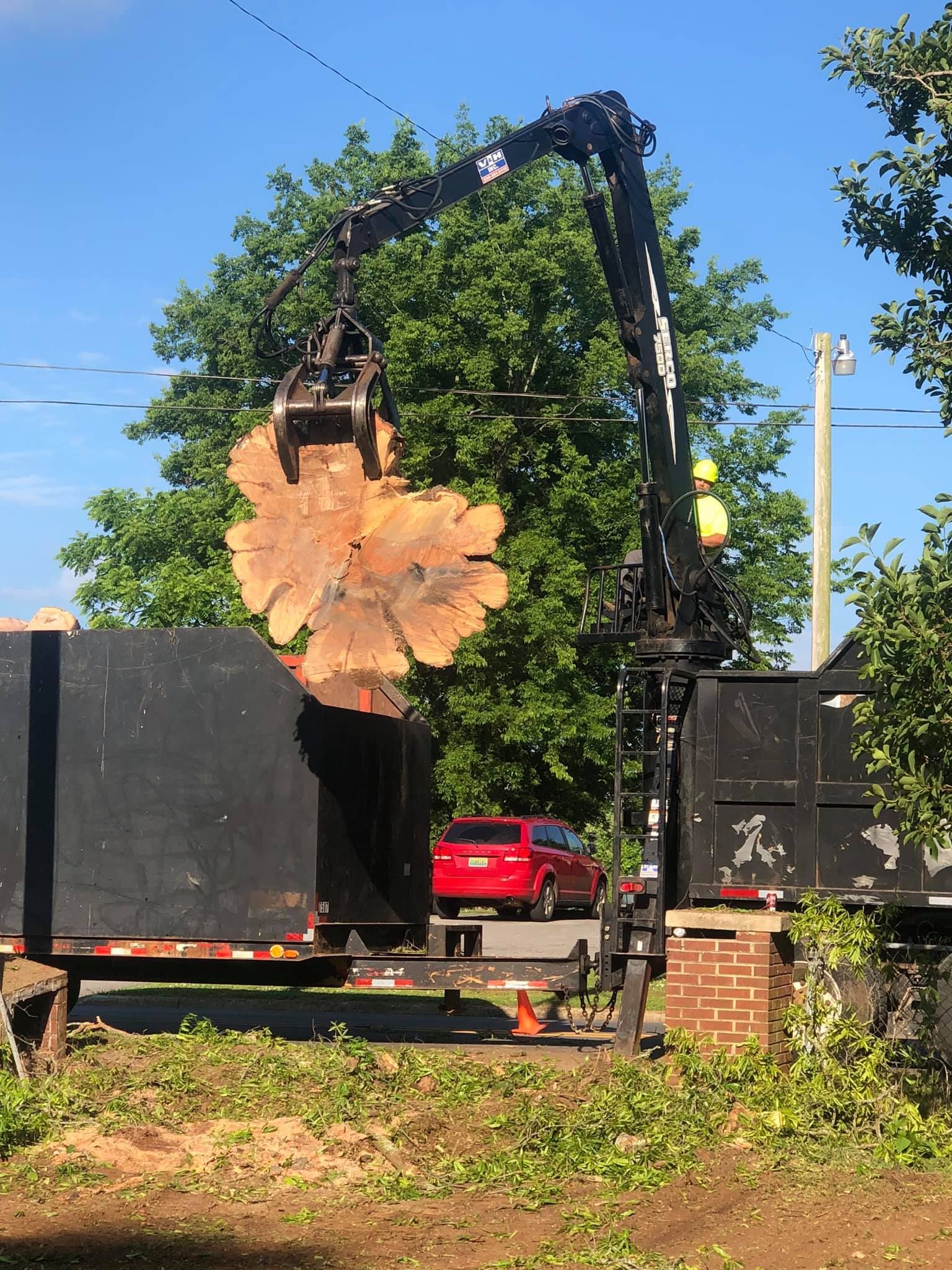 a large tree stump is being lifted by a crane