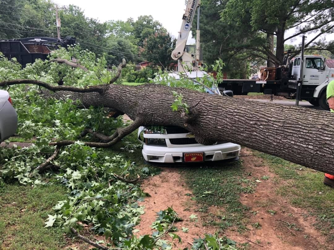 a car is sitting under a tree that has fallen on it