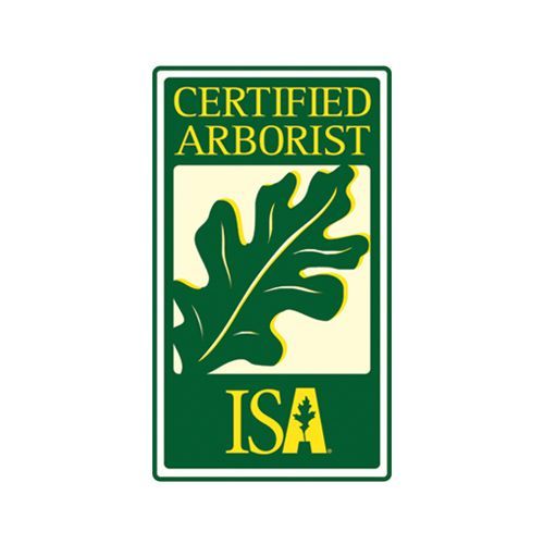 ISA Logo