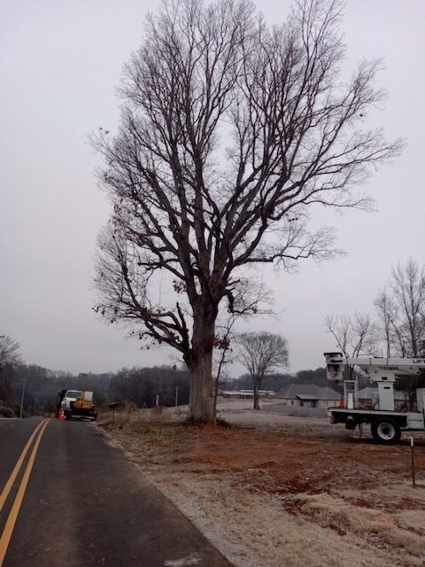 a truck is parked on the side of the road next to a tree