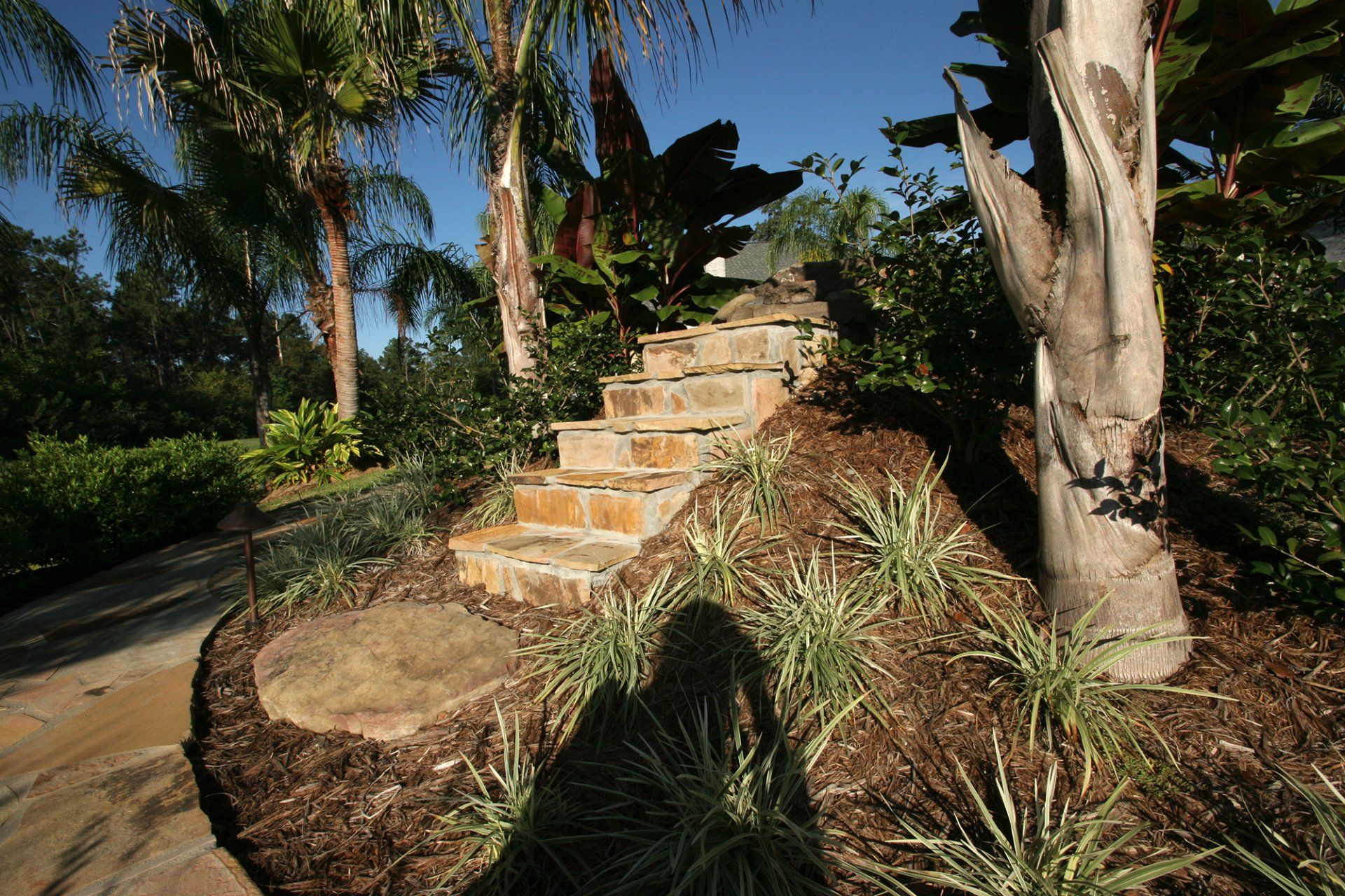 Steps