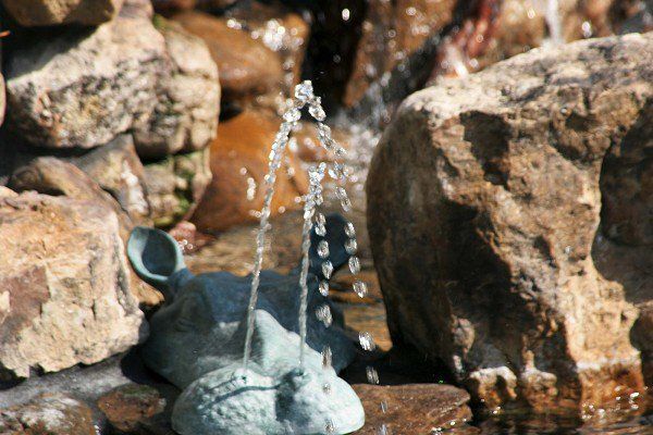 Water Features