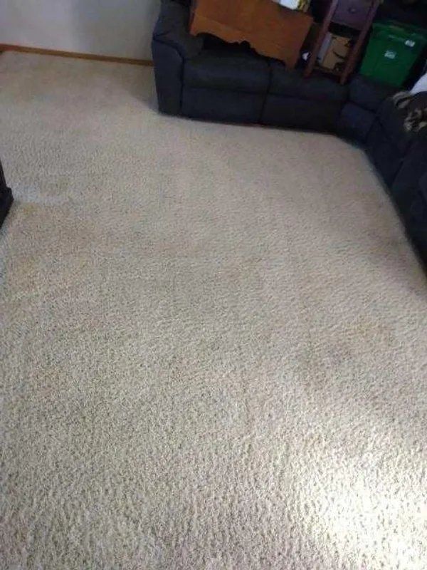 Carpet cleaning after