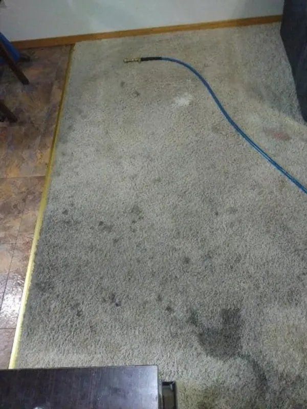 Carpet cleaning before