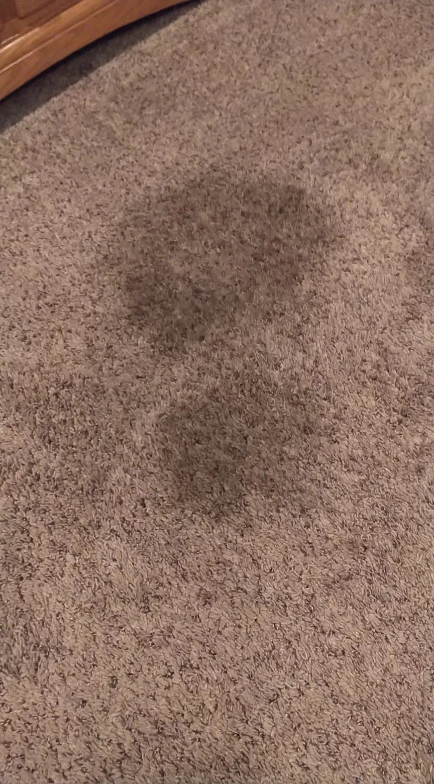 Carpet cleaning before