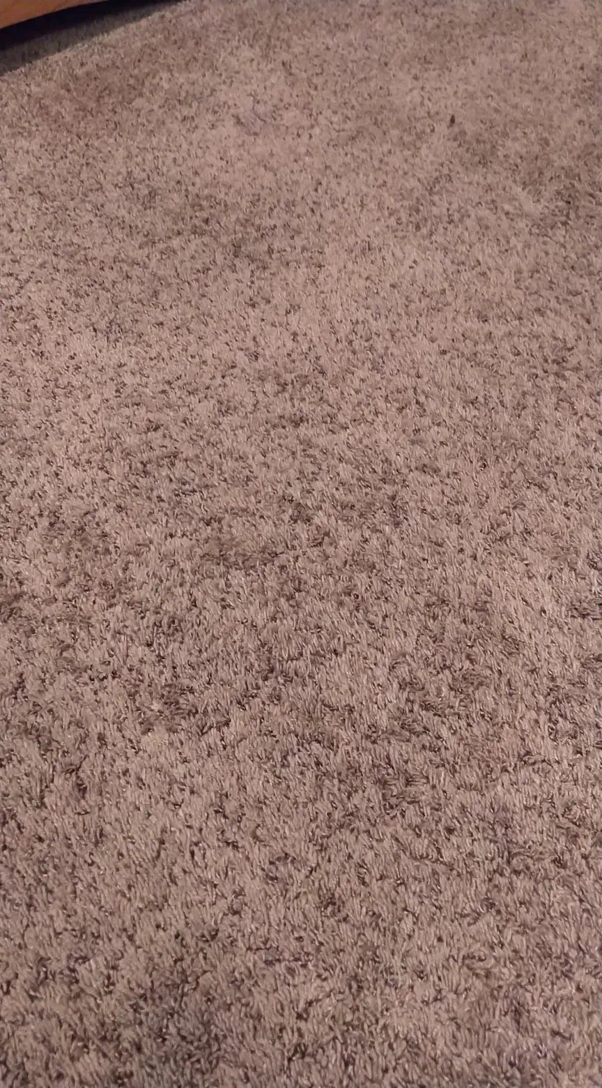 Carpet cleaning after