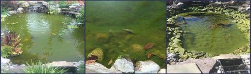 Landvista Aquascapes