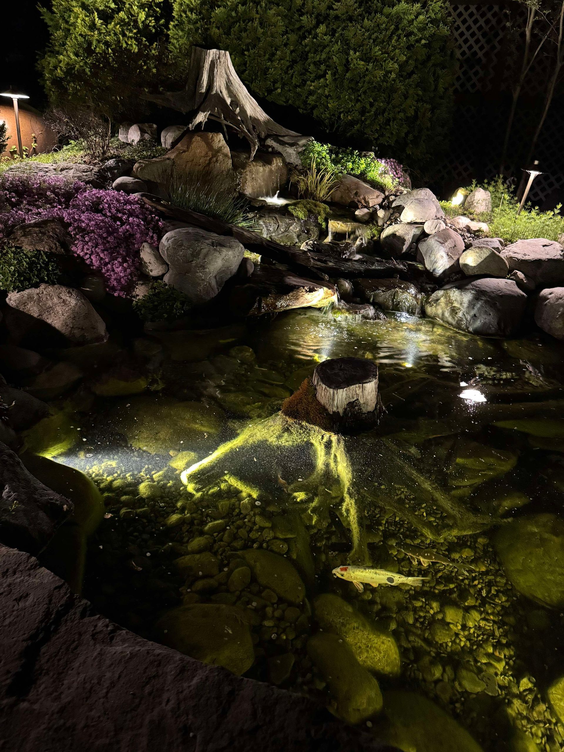 Illuminated night pond with waterfall, rocks, purple flowers, and algae-covered water.