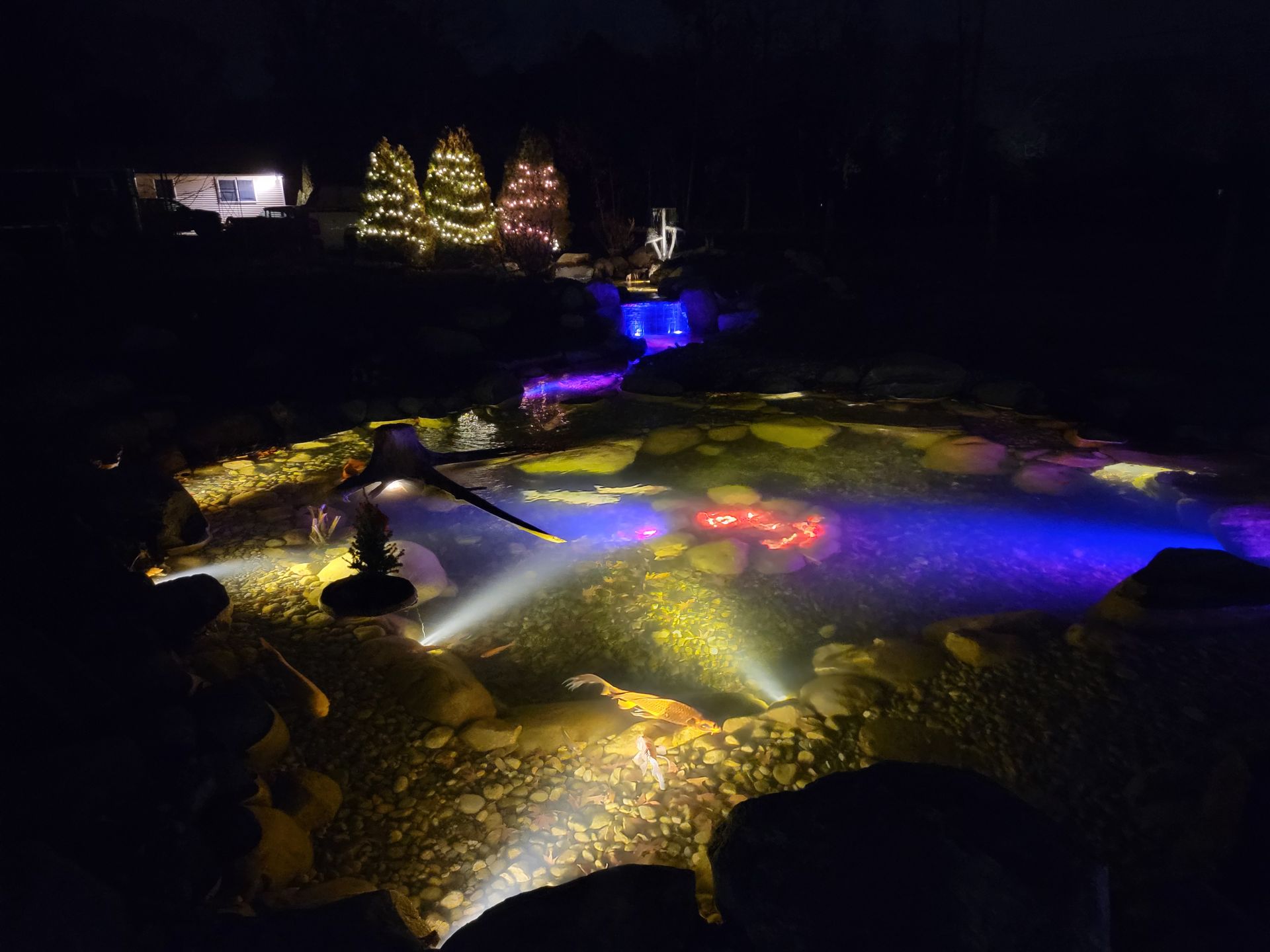 A lit-up pond at night with colorful underwater lights, surrounded by trees with twinkling lights.