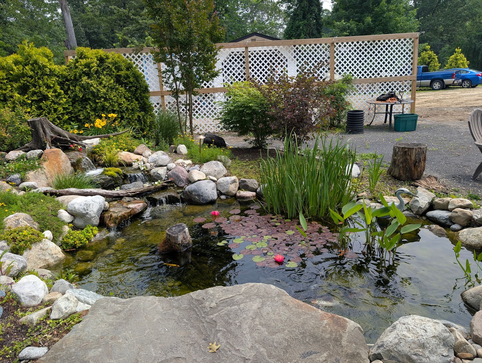 Pond with rocks, plants, and a trellis fence in a backyard setting.