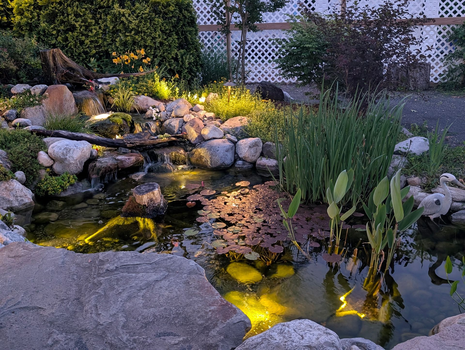 A nighttime view of a garden pond with illuminated water, rocks, and lush greenery.