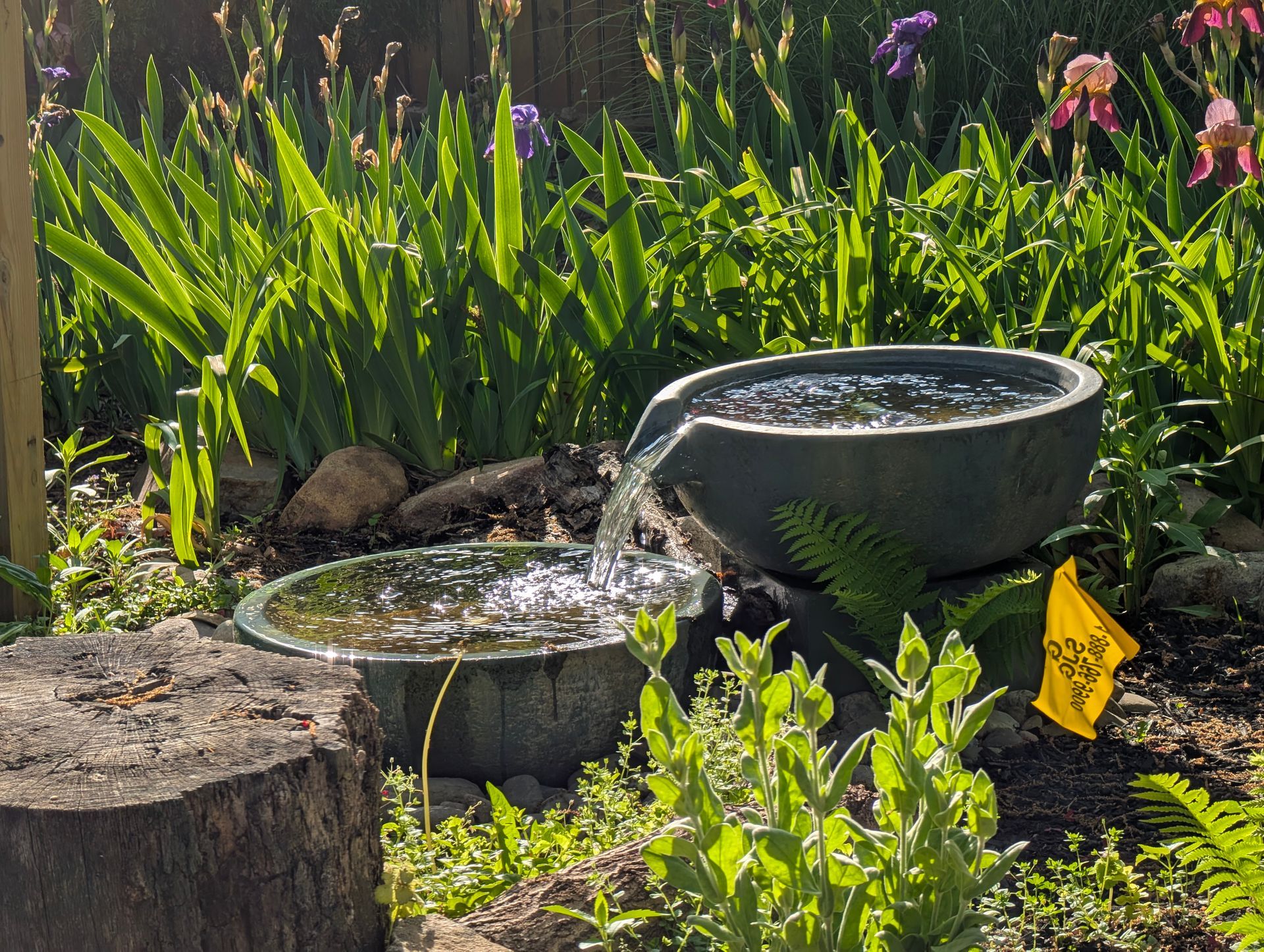 Water fountain with cascading water surrounded by plants and irises in a sunny garden.