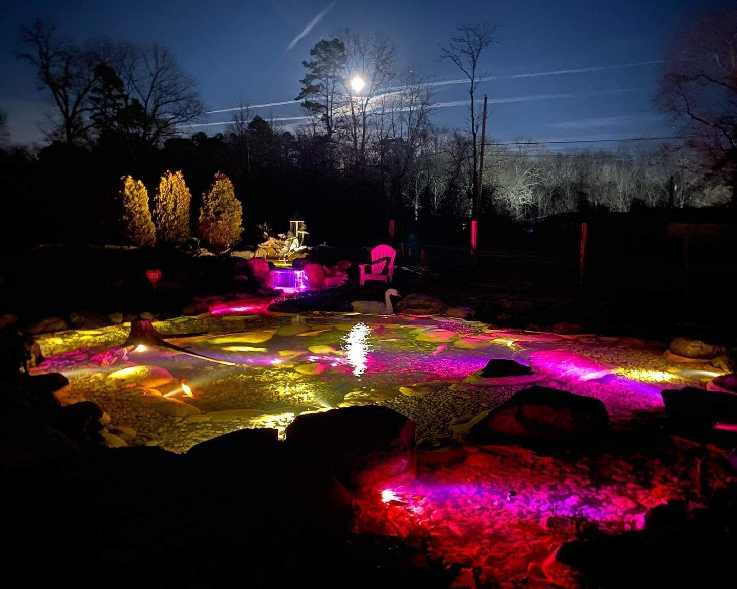 Pond illuminated with colorful lights at night, trees in background.