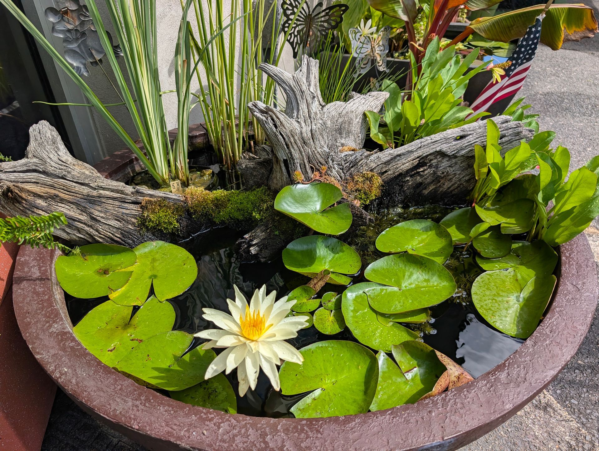 Brown pot with water lilies, greenery, and a weathered log centerpiece.
