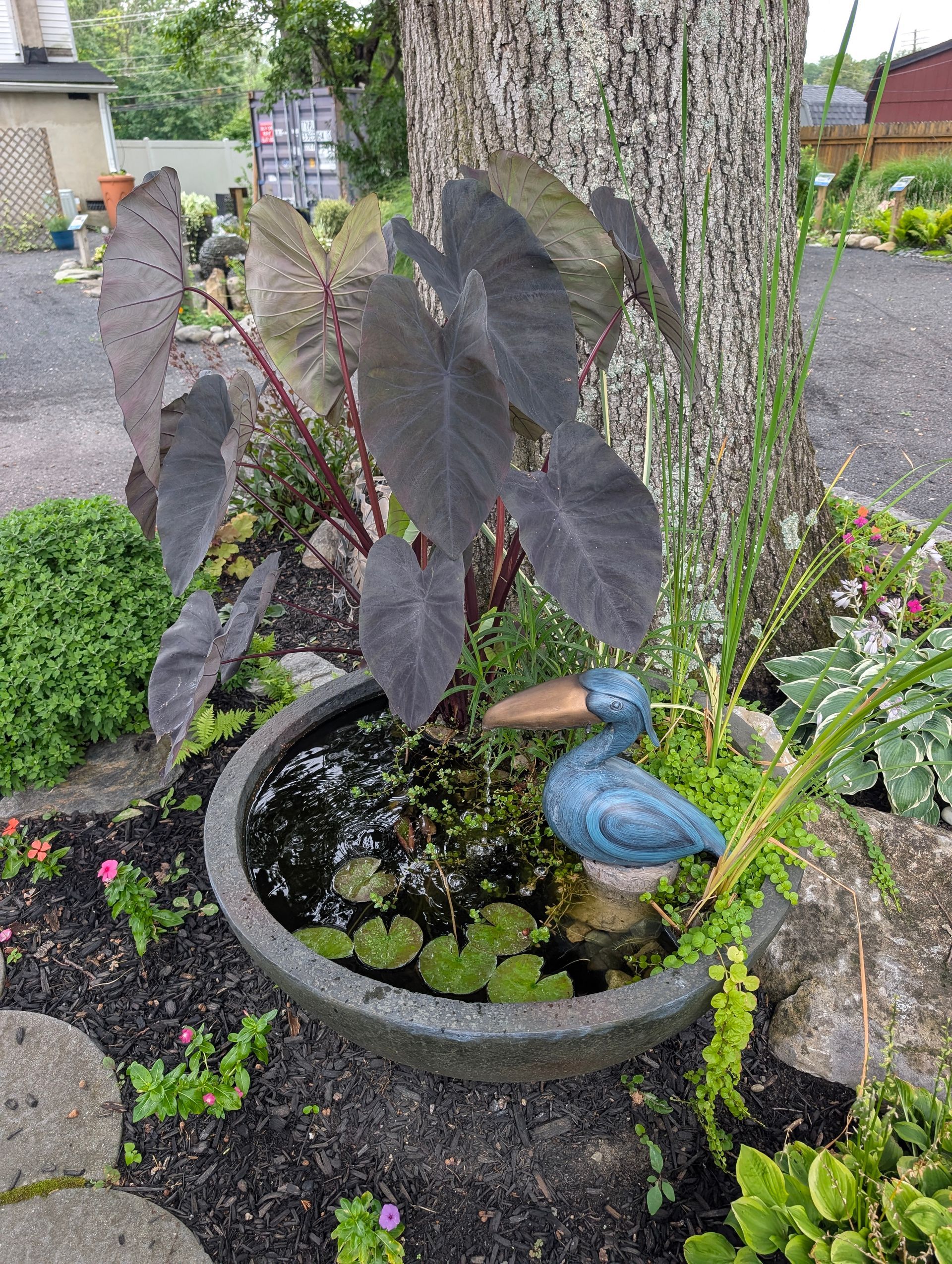 Dark-leafed plant in a stone planter with a duck statue, next to a tree.