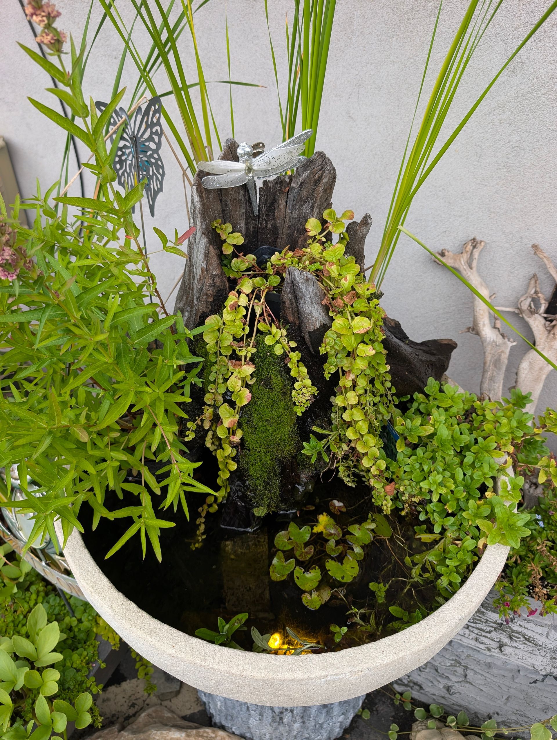 A small, stone water feature in a crescent-shaped container, with various green plants and foliage.