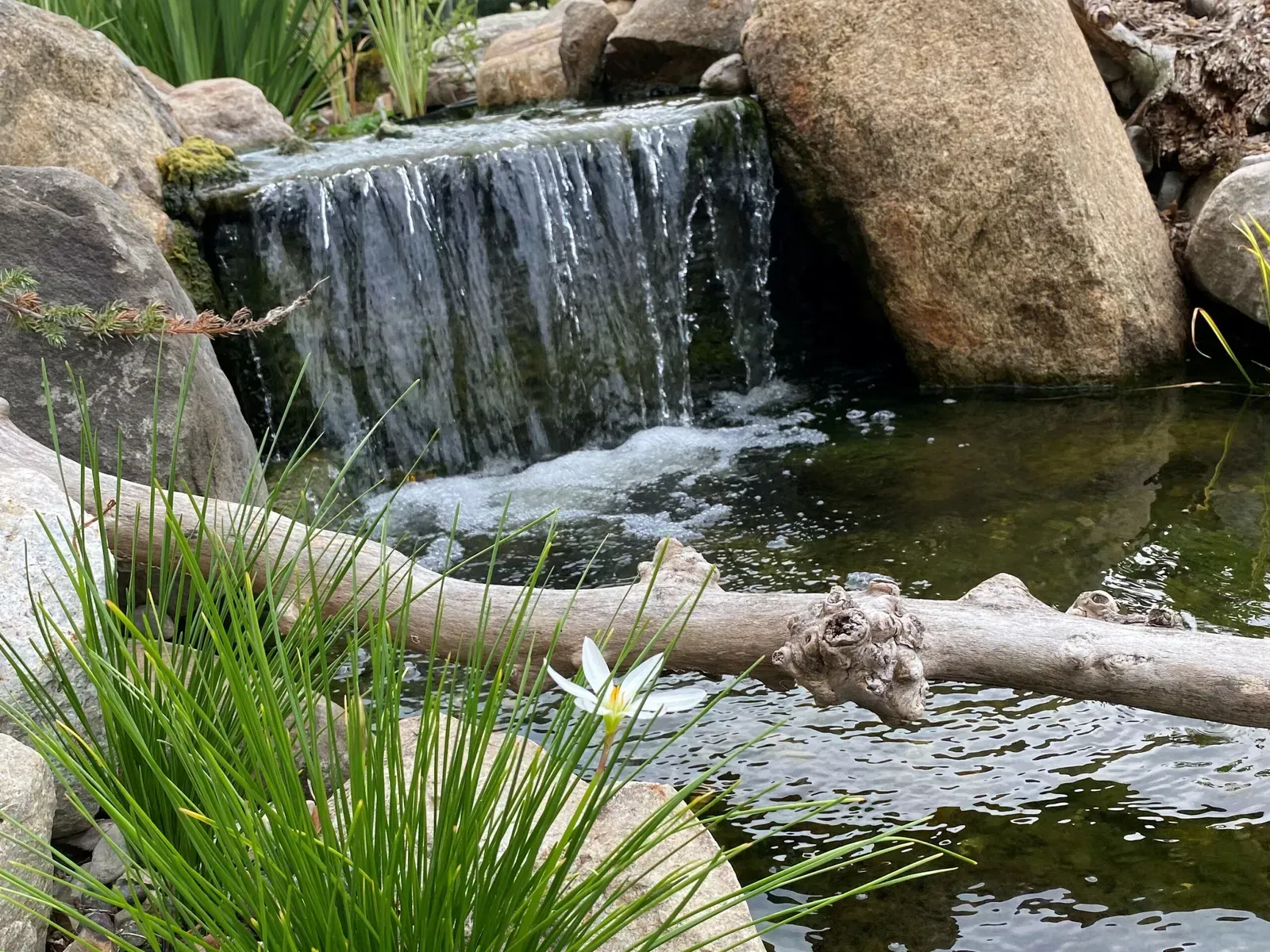 Waterfall cascading into a pond, surrounded by rocks, greenery, and a log.