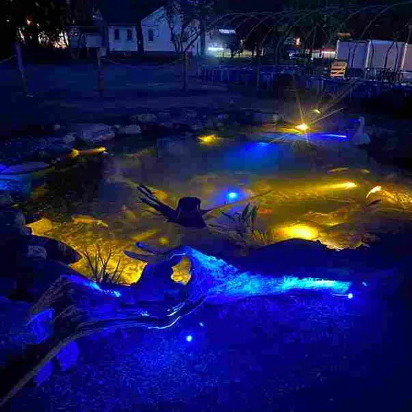 Pond at night with blue and yellow lights illuminating water and driftwood. Buildings in the background.