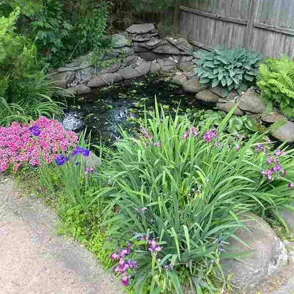 A small pond surrounded by blooming pink and purple flowers, lush greenery, and rocks.