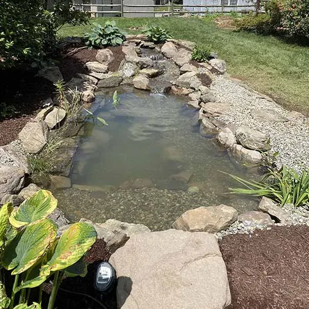 A backyard pond with waterfall, surrounded by rocks, plants, and mulch. Sunny day.