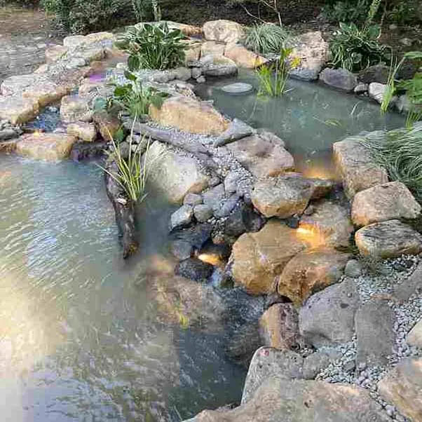 A pond with rocks, plants, and lights. Water flows, reflecting the earthy tones of the surroundings.