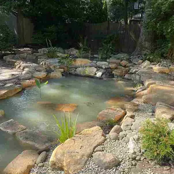 A small, natural-looking pond surrounded by large rocks and greenery.