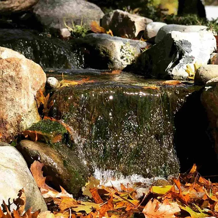 A small waterfall flows over moss-covered rocks surrounded by autumn leaves.