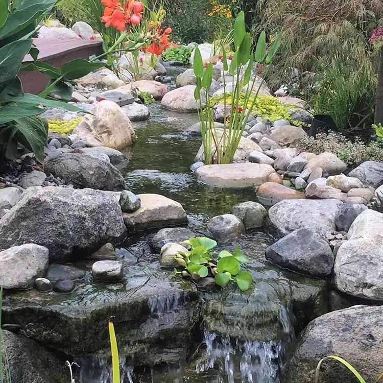 A garden stream with rocks, plants, and orange flowers. Water flows over rocks.