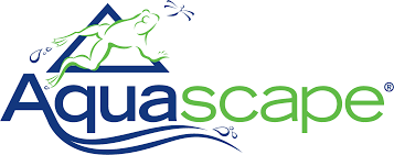 Logo with a frog leaping from a blue triangle over the word