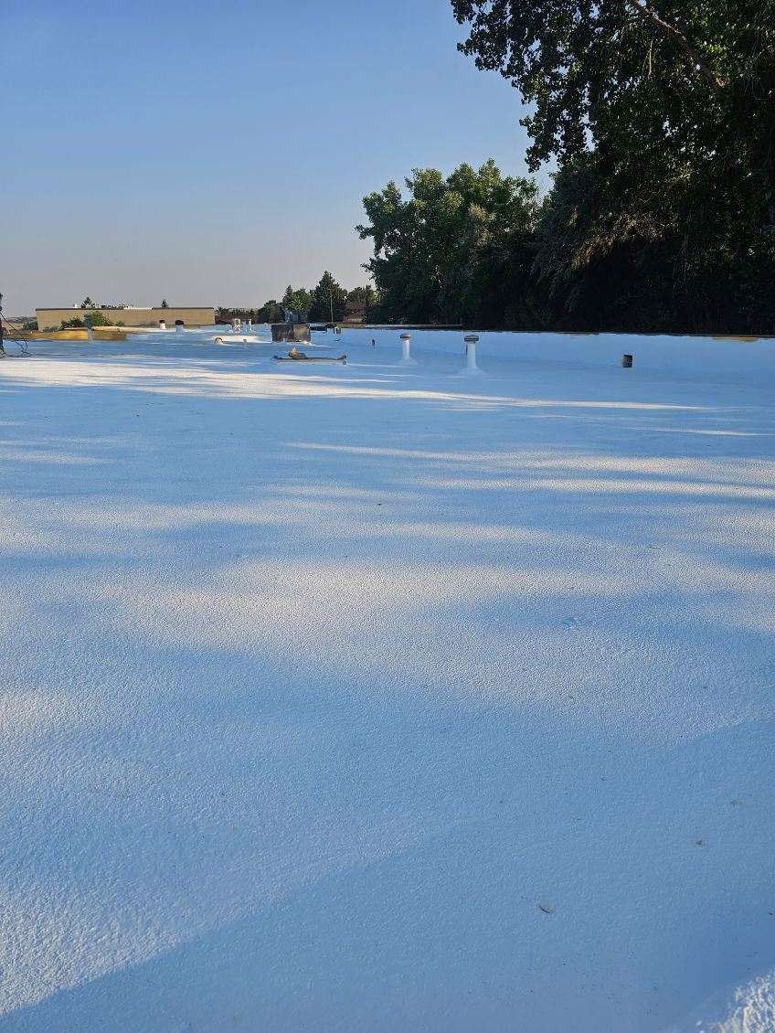 A roof with spray foam insulation and trees in the background.