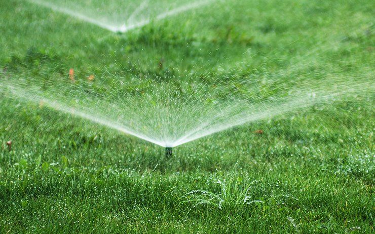 Lawn sprinkler