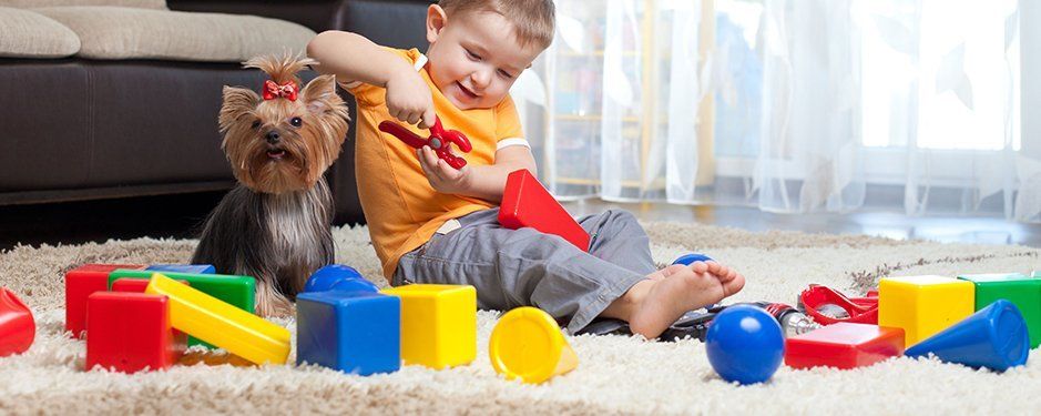 Little boy and pet on carpet