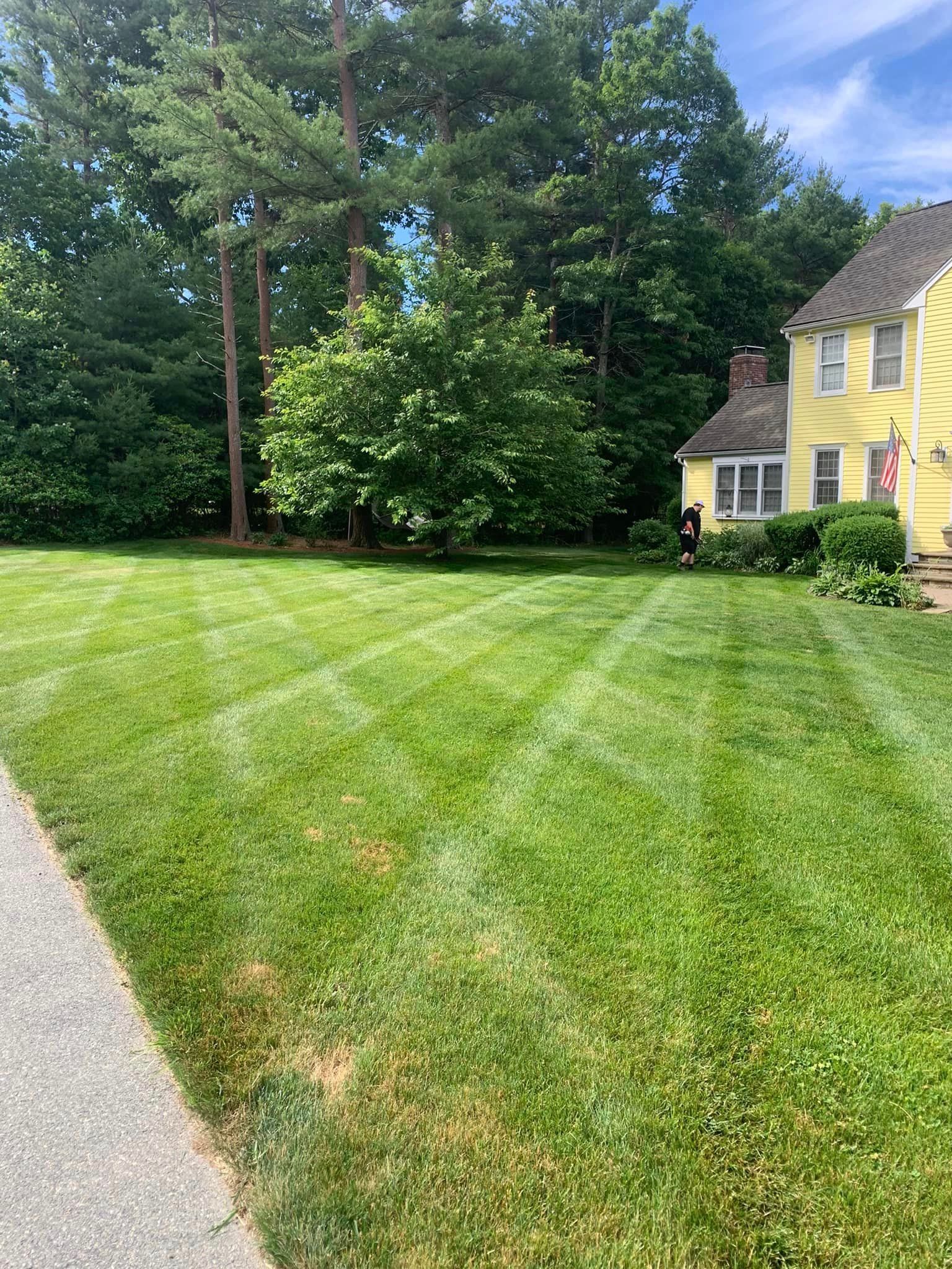 Lawn maintenance