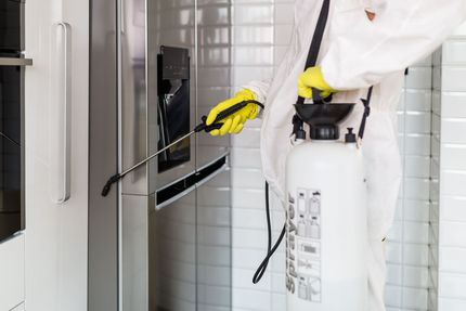 Healthy Home Pest Control & Services