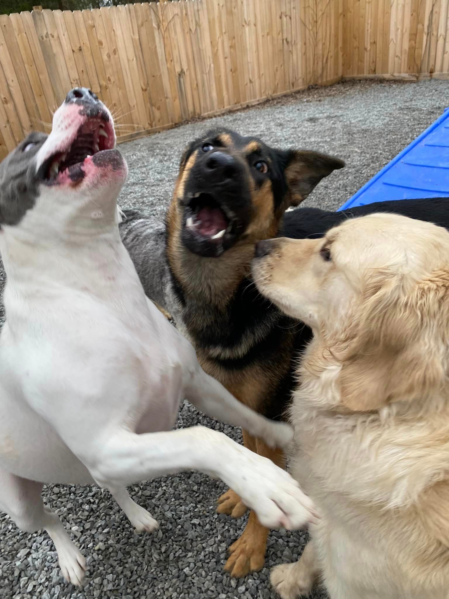 Book an Appt With The Ranch at Bonny Oaks Chattanooga, TN