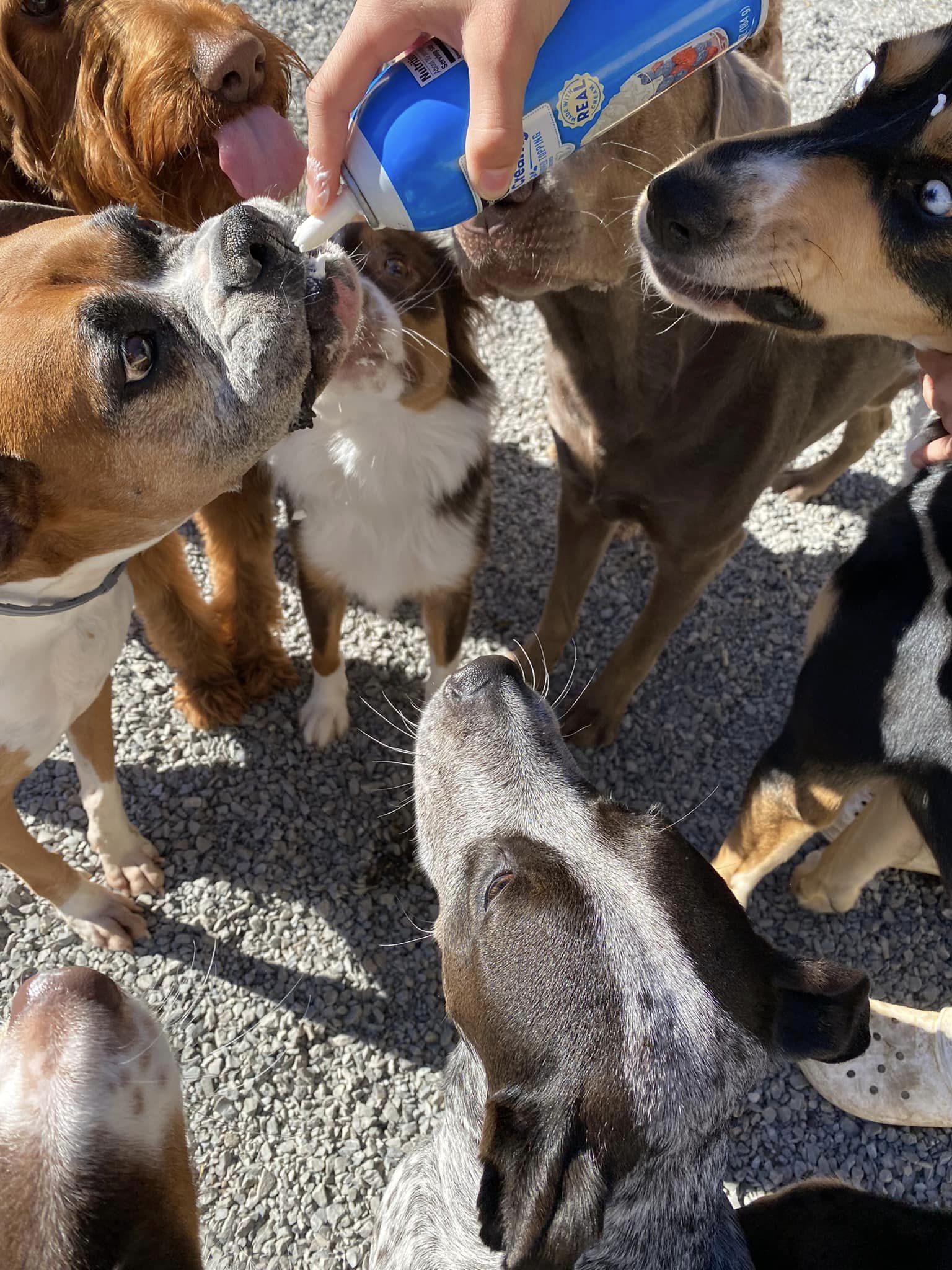 Book an Appt With The Ranch at Bonny Oaks Chattanooga, TN