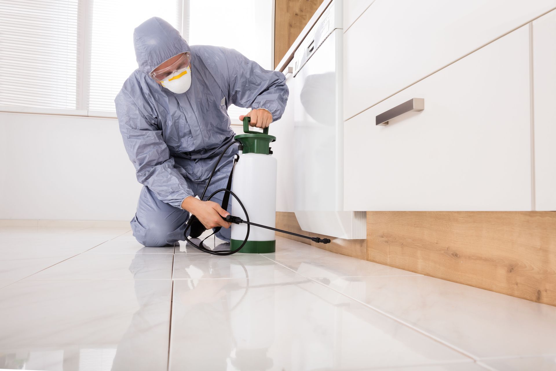 pest control