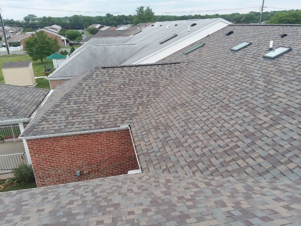 A roof with a lot of skylights on it