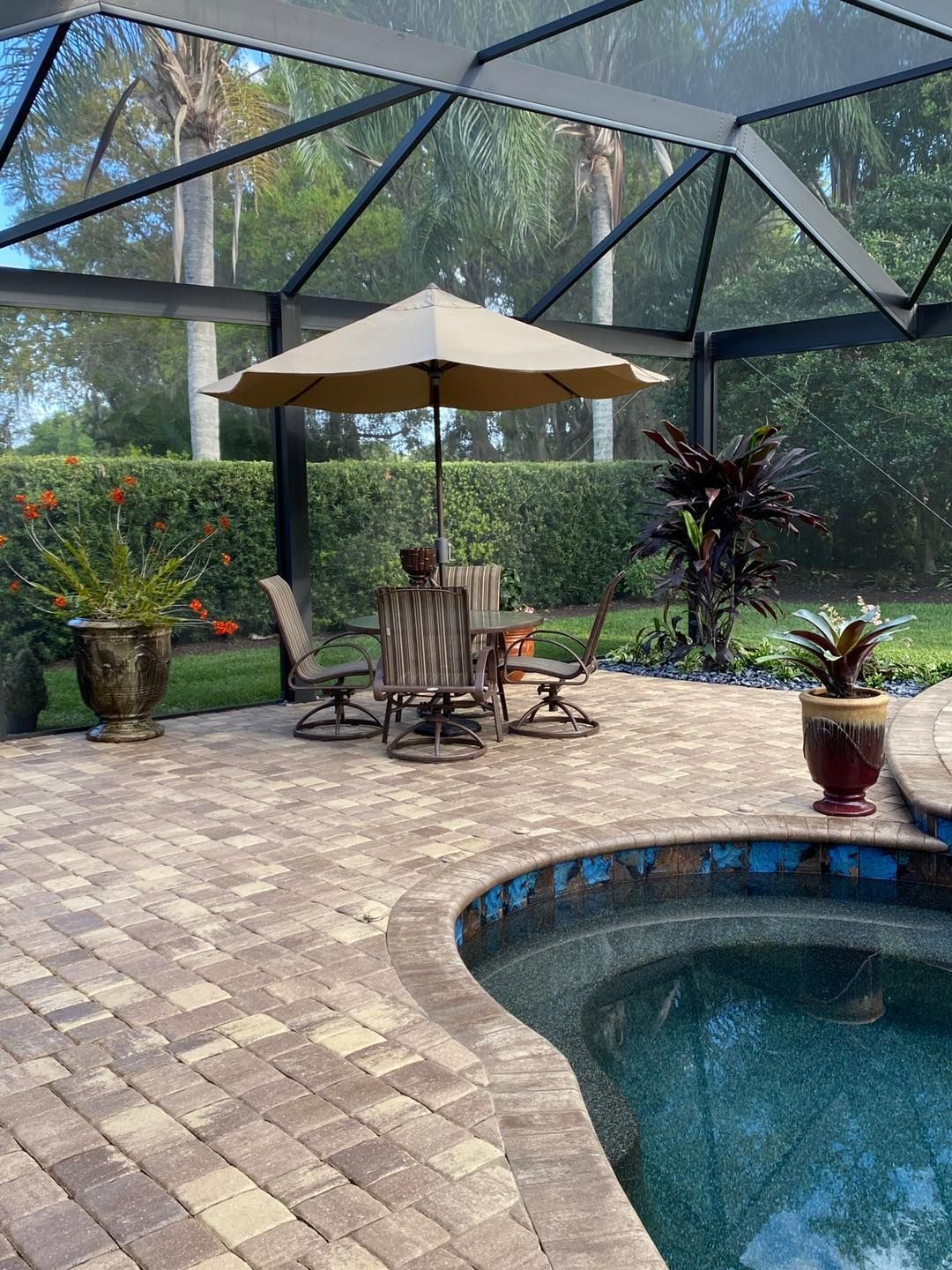 Patio with pool, table under umbrella, and potted plants within a screened enclosure.
