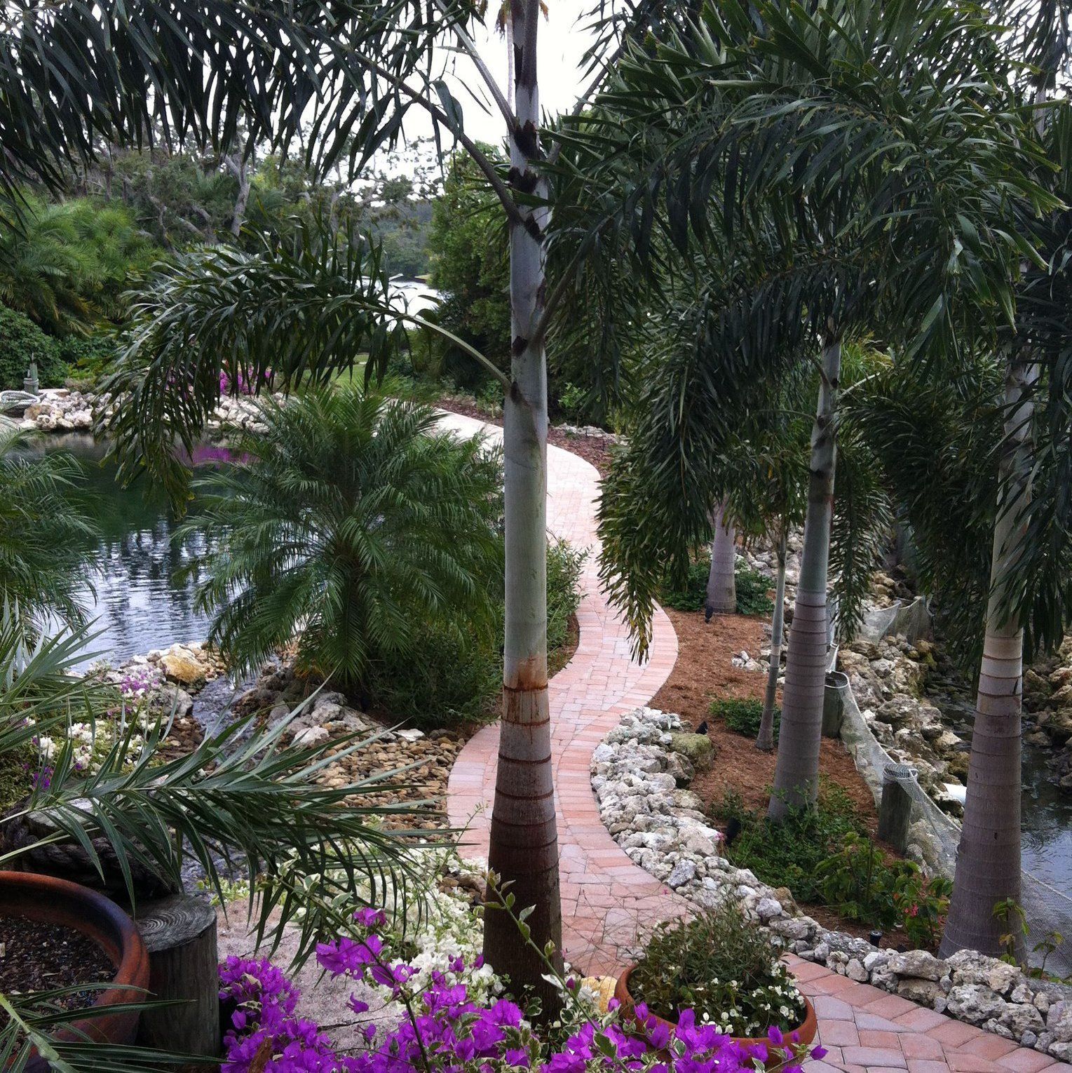 Brick pathway winds through tropical garden, with palm trees, pond, and flowers.