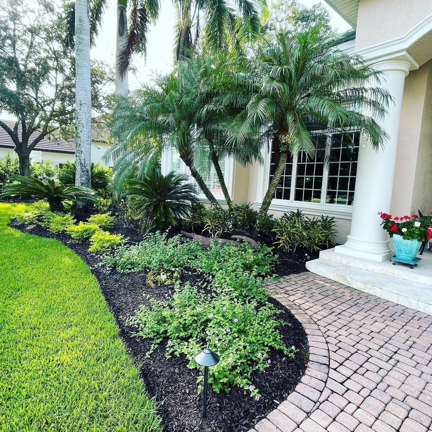 Landscaped front yard with palm trees, pathway, and manicured beds.