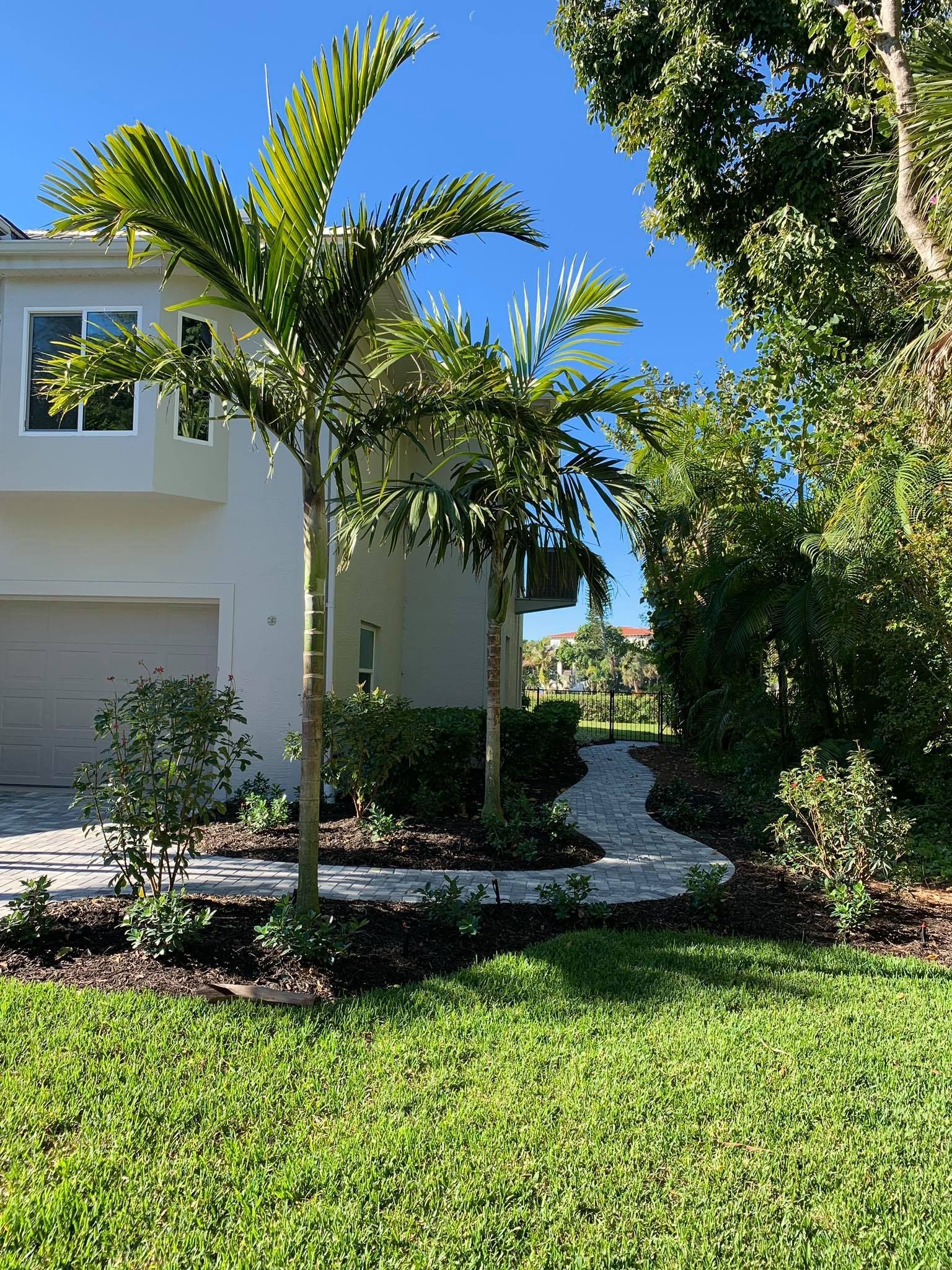 White house with palm trees, a stone path, and lush greenery under a bright blue sky.