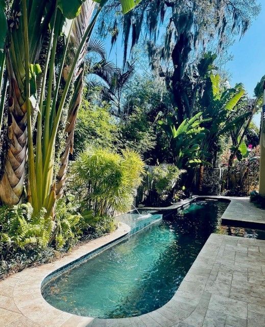 A narrow, turquoise pool surrounded by lush greenery in a sunny outdoor setting.